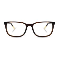 Szylkretowe oprawki Polo z niebieskimi i żółtymi akcentami PH 2234 5003 4.jpg